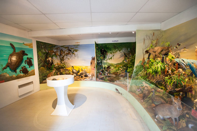 3 musées gratuits