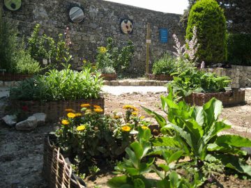 jardin-médiéval-1W