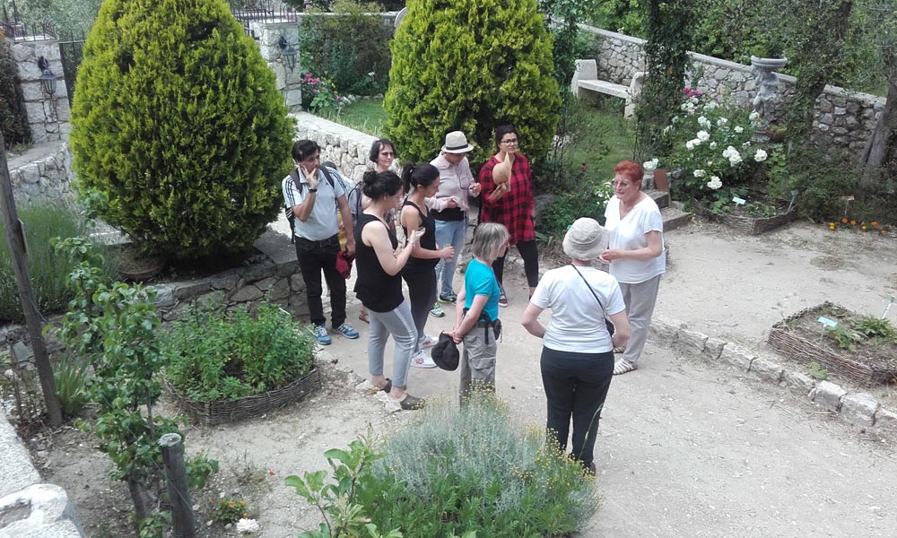 Visite Jardin Medieval (2)