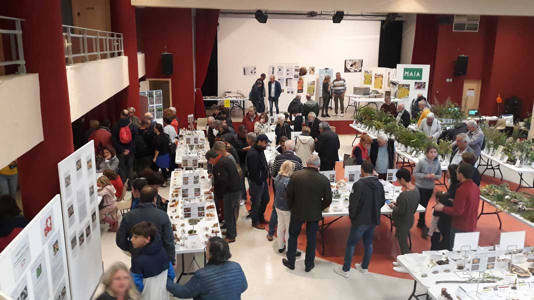 Salon Champignons 2019 (6)