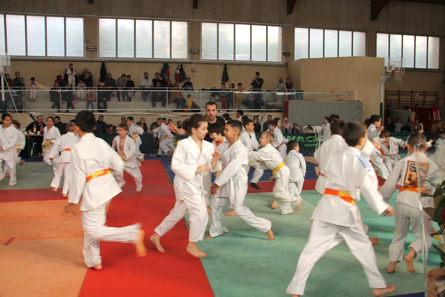 Tournoi Judo 2020 (26)