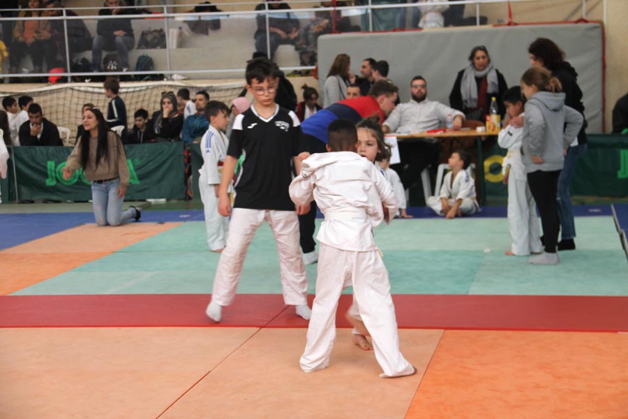 Tournoi Judo 2020 (7)