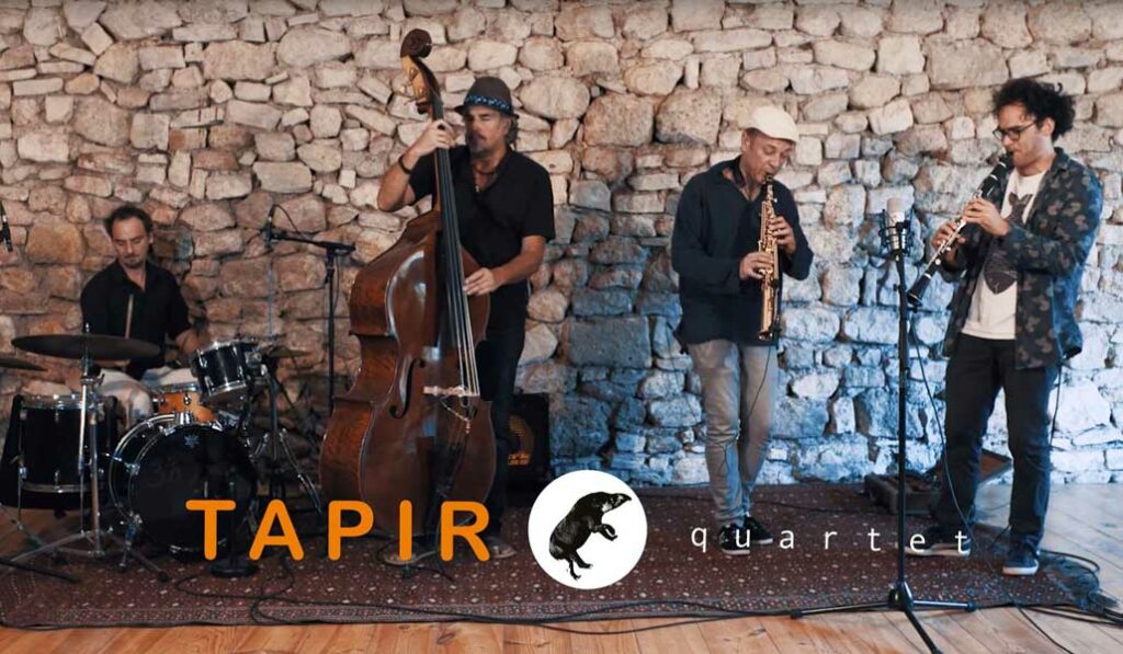 Tapir Quartet