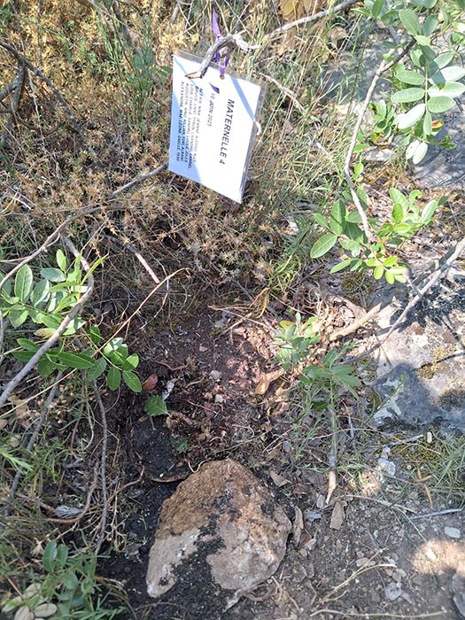 Site 5